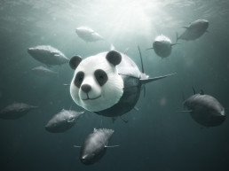 Bluefin tuna wearing a panda face mask