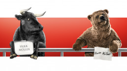 Bear and bull standing behind a metal bar most likely at an airport waiting for a 